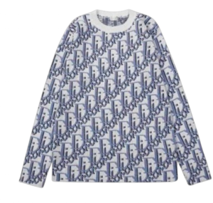 Hoodie Dior
